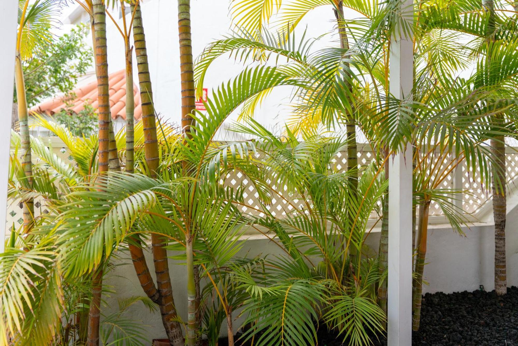 Rooftop Jaccuzi - Pool - Fitness Area - Free Wifi - Air Conditioner - Pool - Modern & Comfortable - Sunnygolf Bungalow * Maspalomas (Gran Canaria)